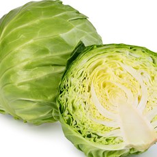 싱싱하고 맛난 국산 양배추 특품 1통 약 3kg내외, 2kg, 1개