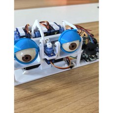 인터랙션 장치 DIY 키트, 비완성 버전