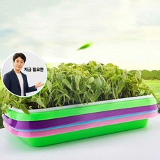 지금 필요한 용기 씨앗 무순 키우는 새싹재배기 채소키우기 보리새싹 K31872EA, 본상품