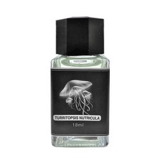 RAYRAYGO 采墨 tramol【隱形墨水】3款 18ml 非碳素 燈塔墨水 鋼筆墨水 繪畫墨水 日記墨水 手帳墨水, 1個, 隱形墨水(單墨水), 隱形墨水