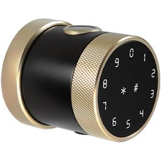 昌運監視器 全功能智慧電子鎖 DJS-SK06, 金色一個, 單純送貨商品