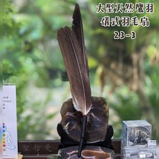 極稀有！大型天然鷹羽儀式羽毛扇23-3 適合在各種神聖儀式中或能量療癒使用 儀式扇 羽毛扇 儀式 風元素 聖哲曼