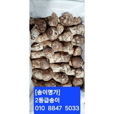 국내산 냉동 송이버섯 중품 400g(4인분), 1세트, 400g