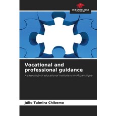 (영문도서)Vocational and professional guidance Paperback, Our Knowledge Publishing, English, 9786209405075