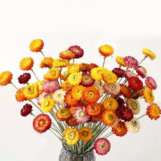 HeCege 24송이 천연 드라이 스트로플라워 데이지 오렌지 드라이플라워 꽃병 장식