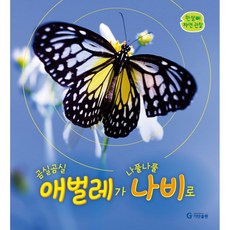 곰실곰실 애벌레가 나풀나풀 나비로-한살이 자연 관찰, 기탄출판, 9791166460876, 없음null