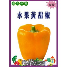 M10 水果黃甜椒種子 食味佳 果肉厚實, 1包