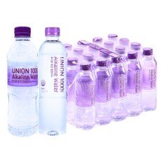 유니온천년알카리수, 500ml, 20개