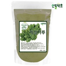 산들약초 케일가루 분말 300g 국산, 1개