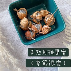 聖誕花圈素材包：乾燥月桃果實、毬果、橡果，DIY花圈材料，拍照道具首選, 1個