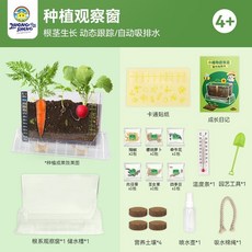 XY陽光房兒童種植小盆栽科學小實驗套裝植物生長觀察盒手工diy玩具, 植物根莖觀察窗, 1個
