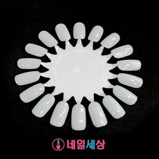 네일세상 해바라기 차트판 1묶음 (10개)