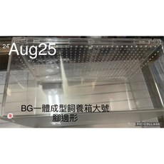 台灣出貨 爬蟲飼養盒 高透 一體式防漏水 爬蟲飼養箱 守宮 豹紋守宮 玉米蛇 蜘蛛 睫角守宮 樹棲守宮, 微瑕 Aug25 BG一體大號, 1個