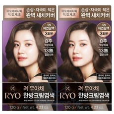 려 우아채 멋내기 새치커버 한방염색약, 5N 자연갈색, 2개