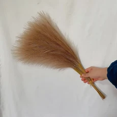 푹신한 팜파스 잔디 보호 장식 꽃 가짜 리드 시뮬레이션 웨딩 파티 홈 인공, 02 BN, 02 BN