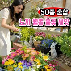 [쉬운관리] 노지 월동 다년생 꽃 씨앗 노지 월동 야생화 봄꽃 씨앗 플라워가든 프리미엄 씨앗 혼합 꽃씨앗 4계절 키 작은 혼합 꽃 씨앗, 2개