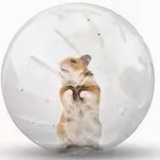 햄스터 운동 볼 헬스볼 소동물 달리기 굴리기 놀이, 1개, 2거치형햄스터볼12cm