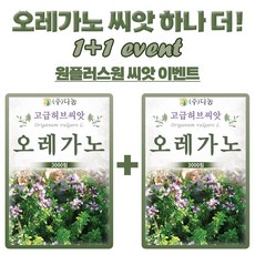 오레가노 허브씨앗 3000립 1+1 박하향 허브씨 종자, 1세트