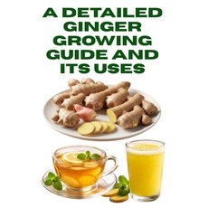 (영문도서)A Detailed Ginger Growing Guide and Its Uses Paperback, Independently Published, English, 9798244193008