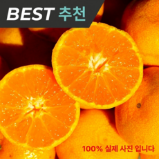 [50박스한정] 초고당도 하르방 서귀포 제주감귤, 1박스, 3kg
