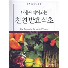 내 몸에 약이되는 천연 발효식초:식초 건강법, 아이템북스, 자연을 담는 사람들 저
