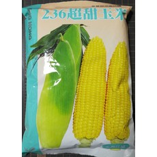 N27 236超甜玉米種子 半磅 大穗 矮性品種 豐產種, 1包