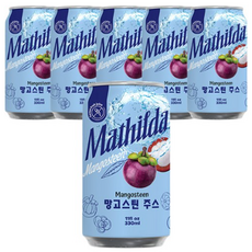 마틸다 열대과일 망고스틴 주스, 54개, 330ml