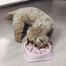 강아지 식기 밥그릇 식사속도 조절 애견