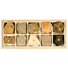 [ARi-D4022] 퇴적암표본 (10종1조)