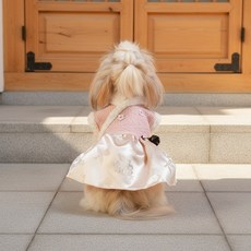 포포댕 강아지 애견 한복 고급 설빔 배자 애기씨 당의 도련님 쾌자, 1개, 애기씨당의