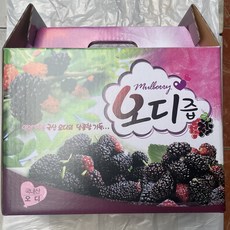 사천햇살농원 오디즙 1박스(100ml*50팩), 1박스 (100ml*50팩), 100ml, 50개