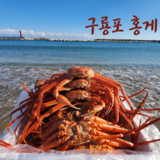 [산지자숙배송] 비교불가가격 당일수확 선주직송 홍게, 1개, 일반미홍게 2kg 5-8미