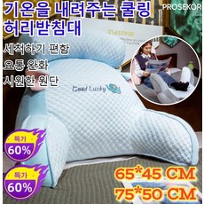 [도매가!!]기온을 내려주는 허리받침대 아이스 테릴렌 다기능 허리 등쿠션 사무실 메모리폼 요추 등허리 받침대 요통 완화