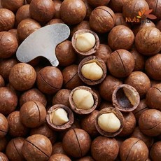넛츠피아 까먹는 통 껍질 마카다미아 1kg 견과류, 넛츠피아 까먹는 통 껍질 마카다미아 1kg 견과류 부럼, 1
