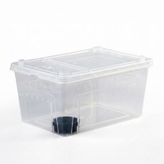 爬蟲飼養盒 大樹盒 透明通風 爬蟲箱 寵物飼養箱 蜥蜴 蜘蛛 飼養盒, 大號飼養盒, 1個