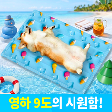 올유니딧 쿨링팡 애견 강아지 아이스젤 방수 냉감 매트 CO-01R, 1개, 블루