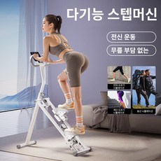 실내용 가정용 스텝머신 계단 오르기 운동기구 가정용 스텝퍼실내 운동기구, BLUE