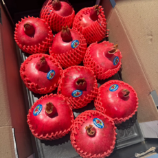 [프리미엄등급] 붉은 속살 신선함 살린 석류 싱싱 포장, 1개, 청해농가 중과1kg (3과 내외)