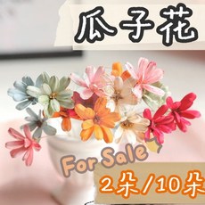 【璟采職人】瓜子花 乾燥花材 乾燥花 小雛菊 瑪格莉特 手工花 不凋花 永生花 仿真花 乾燥花花材 捧花 拍照道具, 米白 (我已詳閱內文說明1至9點並同意,【10朵】=1束，每批花芯可能不同