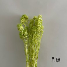 永生橙菠蘿單支乾燥花 永生花 不凋花 居家裝飾, 果綠