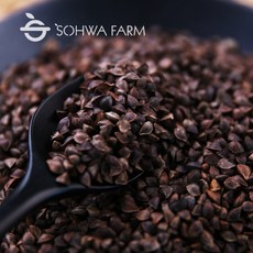 국산 볶은 통 메밀차 500g 볶은통메밀차, 1개, 1개입