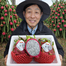 [상위1%] 프리미엄 베트남 백용과 화이트 용과, 1개, 백용과1.5kg