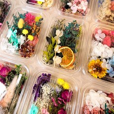 믹스 플라워 프리저브드 말린꽃 모음