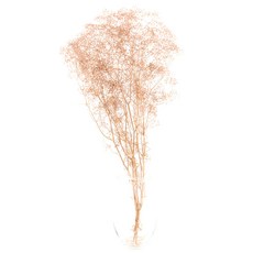 [데코몰] 프리저브드 플라워 미니 안개, 핑크베이지