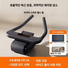 복근 운동기구 스마트 롤러 자동 회전 헬스슬라이드, 1. 스마트, 기본 모델명/품번