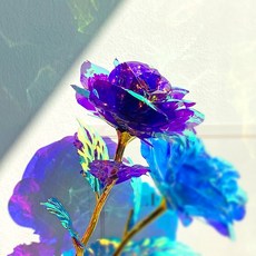 오로라 홀로그램 장미 10송이 시들지 않는 꽃 DIY 꽃다발 조화 용돈이벤트 스승의날 어버이날 성년의 날, 10개, 퍼플장미