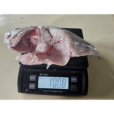 당일작업 급속냉동 국산 자연산 반건조 우럭 손질전 400g 반건조 약 200g 전후, 1개, 300g, 대형(손질전 500g)
