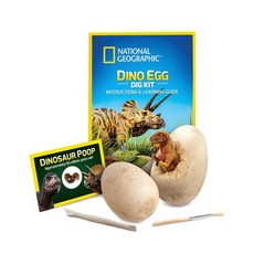[밤나무]내셔날지오그래픽 화석발굴키트 공룡알
