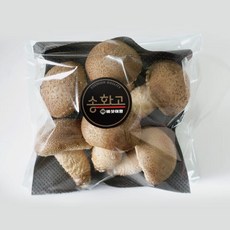 [버섯여왕] 프리미엄 송화고버섯 200g 3 set/5 set [산지직송] 무농약/GAP인증, 3세트