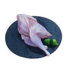 (배터짐) 영양만점 국내산 꿩고기 (일요일&당일발송), 꿩고기1kg 이상  장끼, 1개